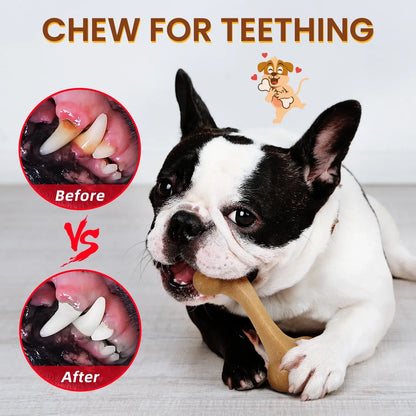 3 Pack Dog Chew Toys for Aggressive Chewers, Tough Nylon Dog Toys for Strong Chewers, Durable Chew Bones Made with Natural Tapioca Starch, Teeth Cleaning Dental Toys, Interactive Puppy Toys for Boredom Relief